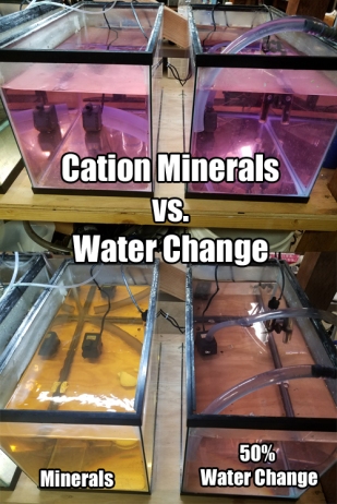 aquarium minerals, water changes